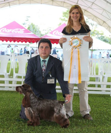 ChCo, JCo, Lat, Int, Ven, Lib Lord Goldess Nutella